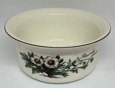 Villeroy & Boch Euc Botanica Souffle Bowl • $16.95