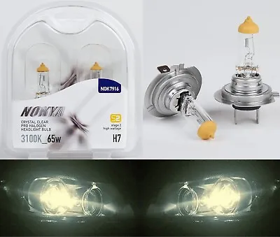 Nokya Warm White H7 Nok7916 65W Two Bulbs Head Light Low Beam Replacement Fit • $21.85