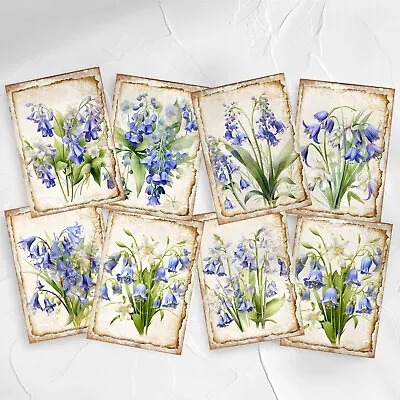 Spring Bluebells Flowers Card Toppers Cardmaking Scrapbooking Tags Craft • £2.80