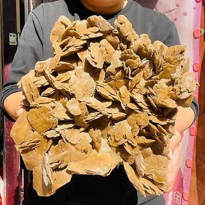 $600 • Buy 10.56lb Large Natural Moroccan Desert Rose Stone Cluster Raw Mineral Specimen