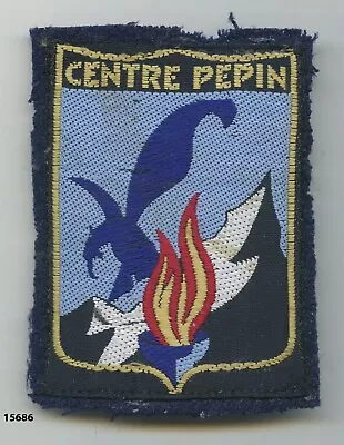 Youth & Mountain Badge PEPIN Center • $93.77