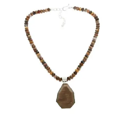 HSN Jay King Sterling Silver Petrified Wood Pendant With 18  Bead Necklace • $219.99