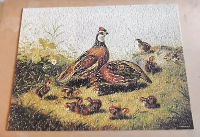 Vintage 1979 Springbok Rectangle Puzzle Quail And Young • $13