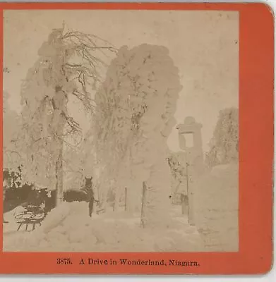 Horse Drawn Sleigh In Wonderland Niagara Falls NY Kilburn Stereoview C1880 • $20