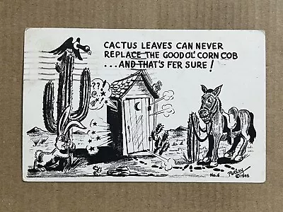 Postcard Comic Humor Cartoon Outhouse Cactus Cowboy Horse Vintage Petley PC • $4.99