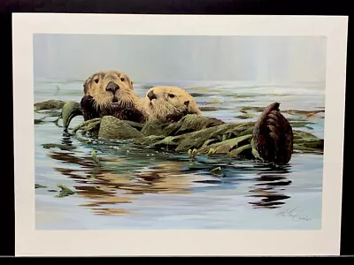 Morten Solberg Limited Edition Signed Print “Sea Otters” • $124.95