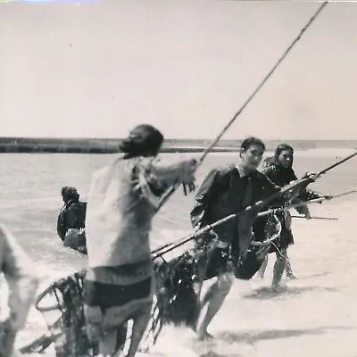 PORTUGAL C. 1950 - Fishermen Of Goémon Póvoa De Varzim - Div 11769 • $31.89