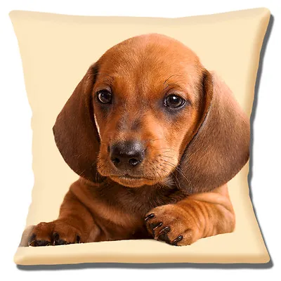 £10.95 • Buy Dachshund Puppy Dog Cushion Cover 16x16 Inch 40cm Cute Tan Dog Photo Print Cream