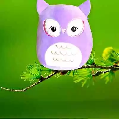 Squishmallow Miranda The Purple Owl - 9.75 In X8 In • $13.99