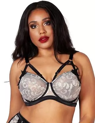 Playful Promises Gabi Fresh Renee Underwired Bra PPG038 Supportive Full Cup Bra • $28