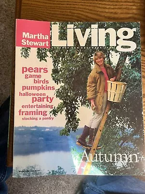 Martha Stewart Living Magazine Oct Nov 1993 No 16-no Label-has Recipe Cards • $20