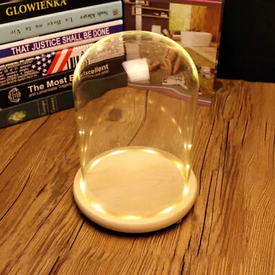 £8.95 • Buy Decorative Glass Dome Cloche Bell Jar Wooden Base Led Lighted Display Stand Desk