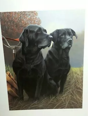 £65 • Buy Senior Service Black Labrador Limited Edition By Nigel Hemming