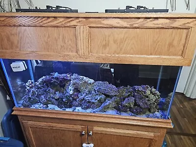 75 Gallon Salt Water Aquarium Stand Hood. Live Rock And New Lights Included.   • $900