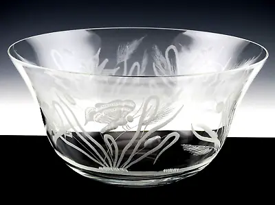 Tiffany & Co. Crystal 10-5/8  LARGE BOWL ETCHED BUTTERFLY TURTLE BUG AUDUBON? • $169