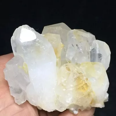 240g Museum Quality Transparent White Quartz Crystal Cluster Mineral Specimen • $34.44