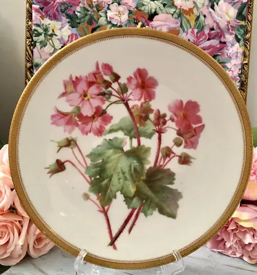 £99 • Buy Antique Handpainted Cabinet Plate Geranium Pink Flower Gold Westhead Brown Moore
