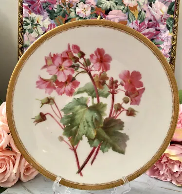 Antique Handpainted Cabinet Plate Geranium Pink Flower Gold Westhead Brown Moore • £99