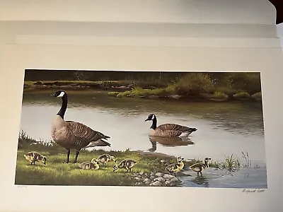 Maynard Reece Signed Wildlife Print The Family-Canada Geese  1983 . 536/950 • $145
