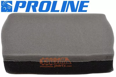 Proline® Primary Air Filter For Mikasa MTX50 MTX60 MTX70 MTX80 MTX 3366010070 • $12.95