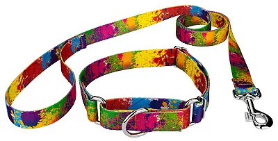 Country Brook Petz® Paint Splatter Martingale Dog Collar And Leash • $18.97