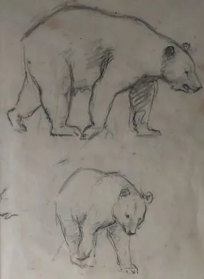 Margaret Tarrant (1888-1959) Original Bears Pencil Drawing Lewis Carroll Alice • £499.99
