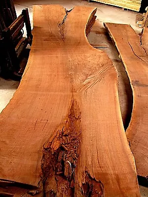 Huge Kiln Dried Walnut Table Slab Figure Crotch Curly 17 • $996