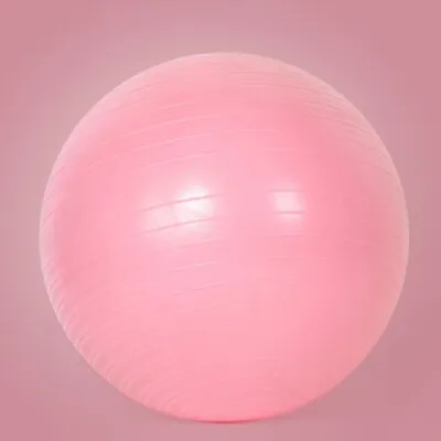 $14.55 • Buy US  65cm Yoga Ball For Fitness Birthing Ball Stability Balance Ball Pilates Core