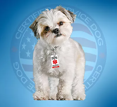 $4.99 • Buy Emotional Support Dog Id Tag Key Chain / Collar Tag For Ada Esa Ptsd Tags  