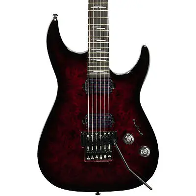 $549 • Buy Schecter Omen Elite 6 FR Electric Guitar With Floyd Rose, Black Cherry Burst