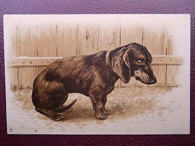 Sad Dachshund Teckel Dackel Dog *Vintage* Tuck Embossed Art Series 1283 C1904 #2 • £3.49