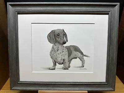 Miniature Dachshund Dog ~ Graphite Pencil Art Sketch Drawing Picture Print • $34