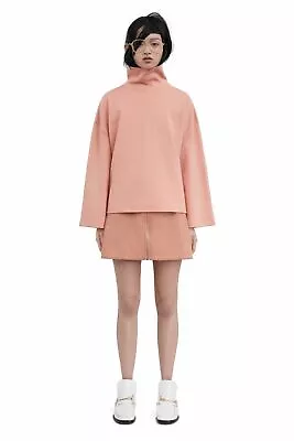 Acne Studios Prisca A-Line Wool Skirt Rose Melange 38 • $99