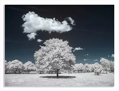 £219 • Buy Converted Infrared IR 720nm Panasonic DMC-G3 M43 16MP Camera 943