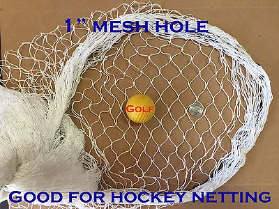 10Ft X 25Ft Sport Netting For Sport Hockey Goals Backstop Golf Hitting LaCrosse • $39.79