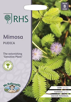 RHS Flowers Mimosa Pudica Seed • £2.13