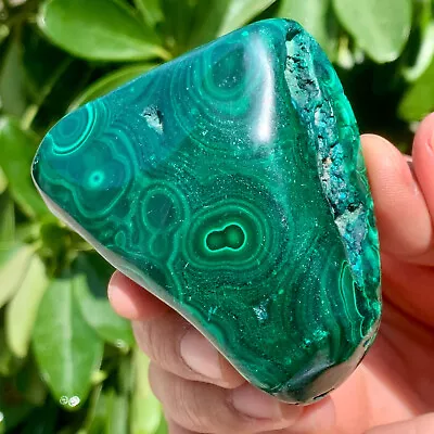 173g  Natural Glossy Malachite Transparent Cluster Rough Mineral Sample • $12.50