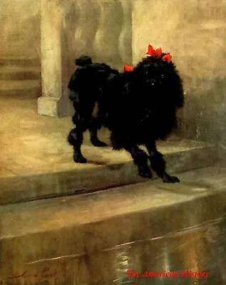3449 Earl Maud (1864-1943) - 1910 Power Of The Dog - Miniature Poodle • $7.43