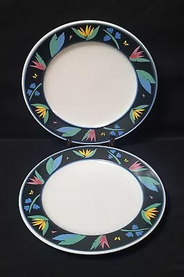 Set Of 2 Dinner Plates Mikasa Midnight Tropics Intaglio CAC 79 John Bergen In EC • $30