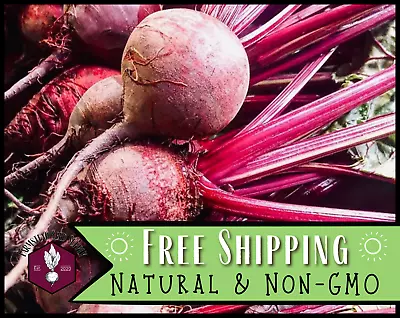 550+ Beet Seeds [Detroit Dark Red] Vegetable Gardening Seed Heirloom Non-GMO • $5.99