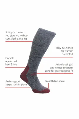 £13.99 • Buy HJ Hall ProTrek™ HJ703 Mountain Comfort Top Wool-Tech Walking Socks UK 4-15