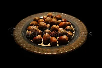 Wild Harvested Acorns Wicca Rebirth Pagan Mabon Offerings Grow An Oak Tree • $1.20