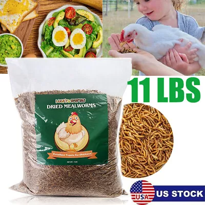 11LBS Non-GMO Dried Mealworms Fit Wild Bird Food Treats Chickens Reptile Turtles • $55.99