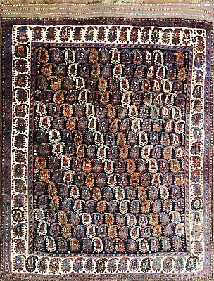 Antique Qashqai Rug 5'6  X7'2   #17426 • $3299