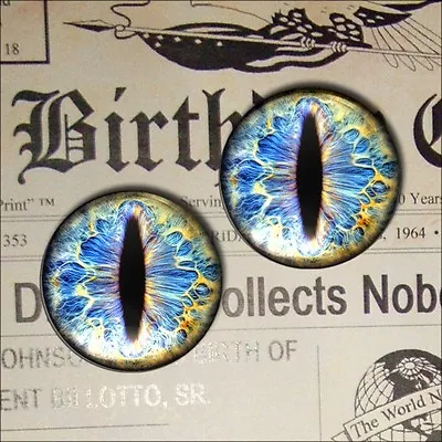 1  Inch Eyes Blue Doll Eyeballs Monster Glass Taxidermy Cabochon Craft Set 25mm • $11.99