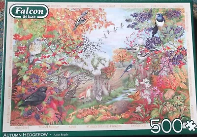 Falcon 500 Piece Jigsaw - Autumn Hedgerow • £2.50