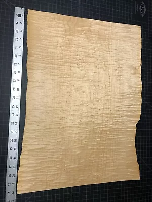 X-Wide Curly Tiger Maple W/ Birdseye Raw Veneer Sheets 22 Inches Lot 903 • $17.99