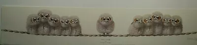 £29.99 • Buy The Team By Warwick Higgs Birds Owl's