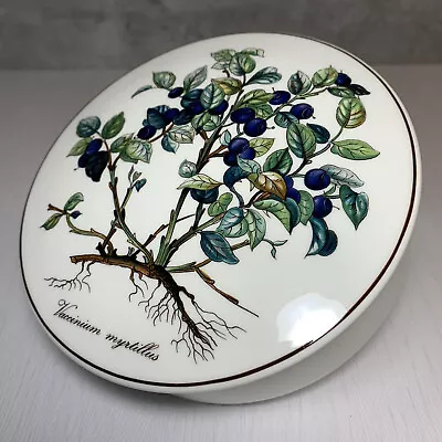 Villeroy & Boch Luxembourg Porcelain Botanica Blueberry 6  Round Trinket Box • $15