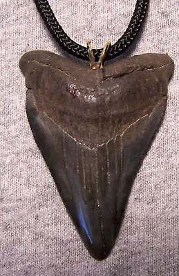 Megalodon Shark Tooth Necklace 2 5/16  Fossil Jaw Shark Teeth BIG Pendant • $49